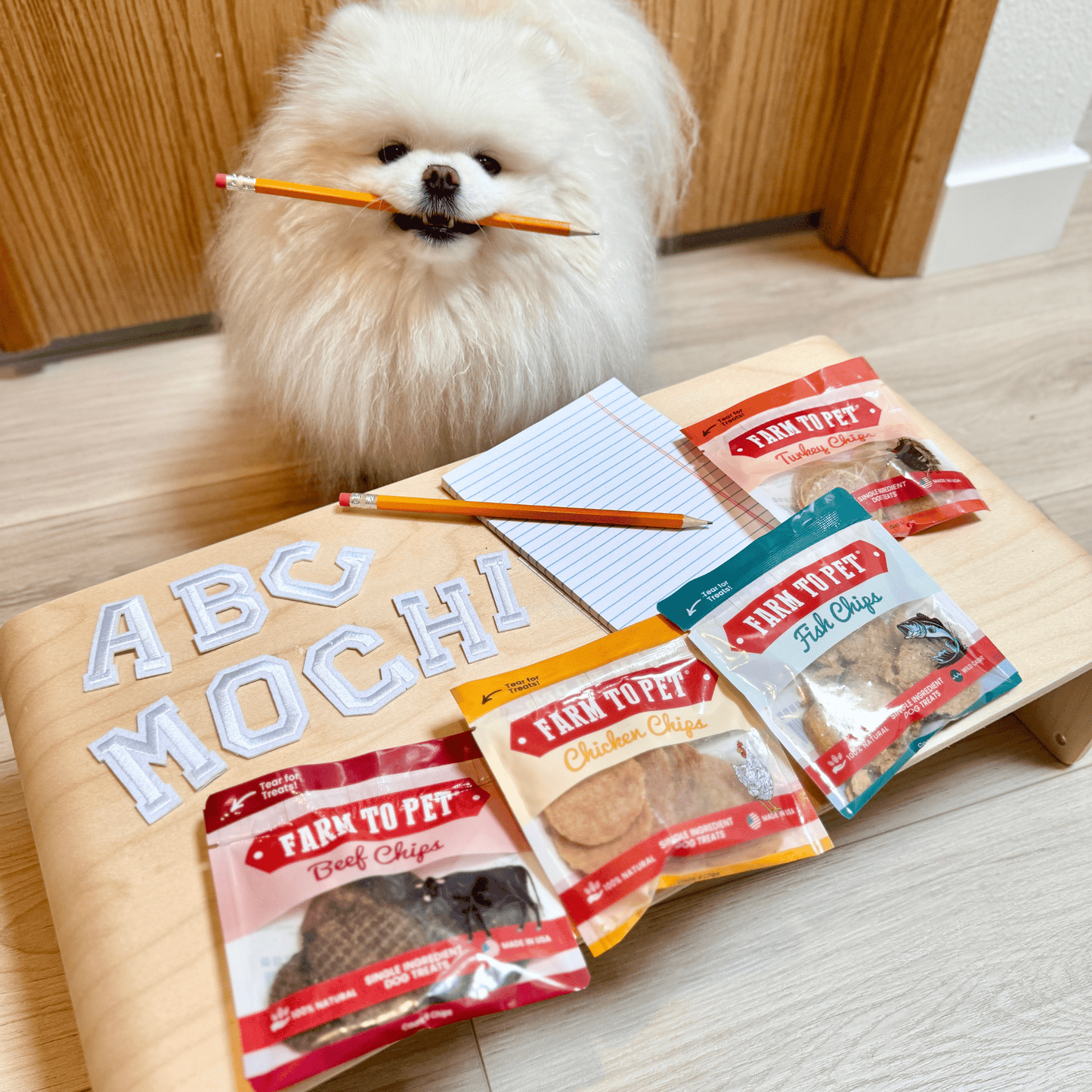 Small white dog holding a pencil, sitting next to packages of Farm to Pet dog treats on a wooden stand.