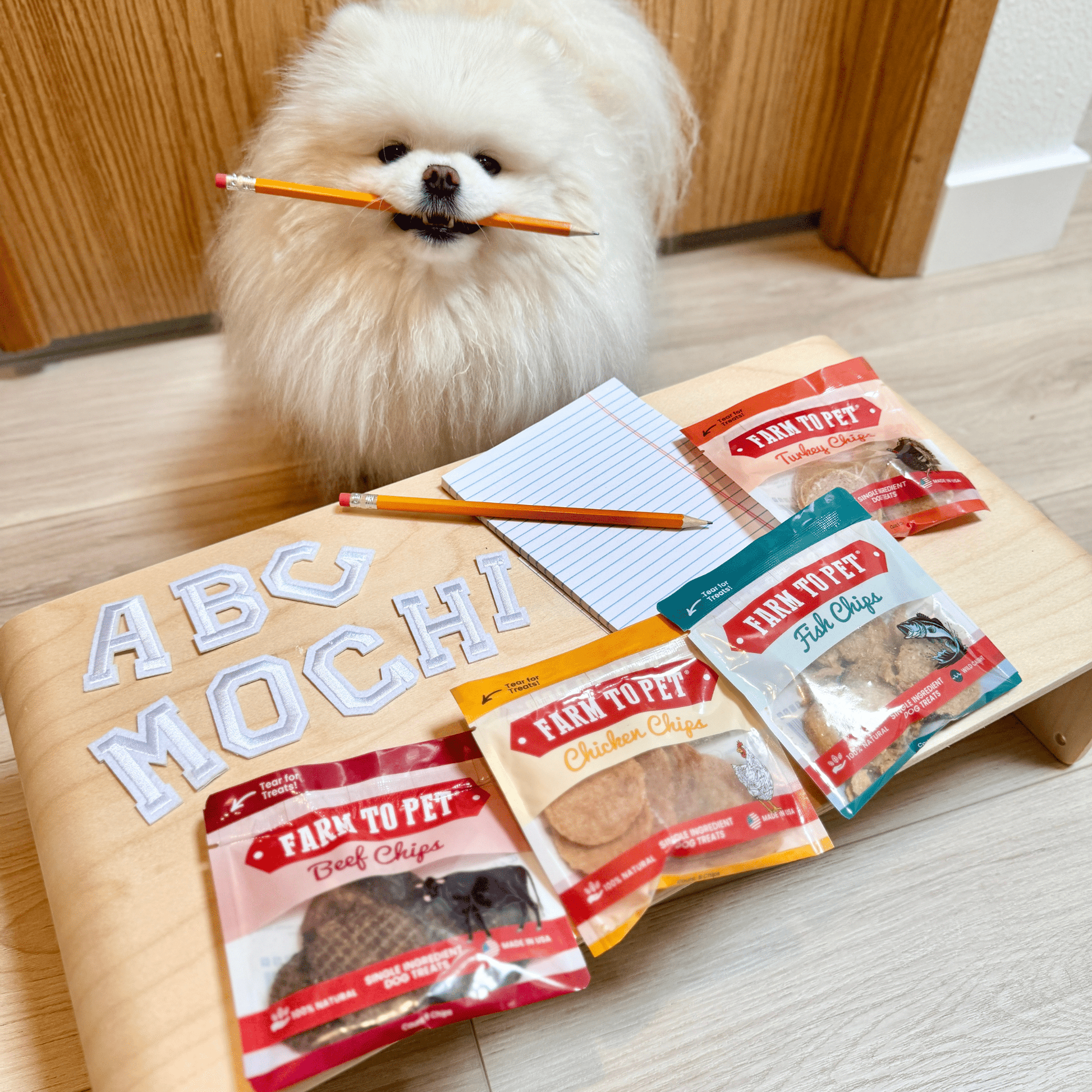 Small white dog holding a pencil, sitting next to packages of Farm to Pet dog treats on a wooden stand.