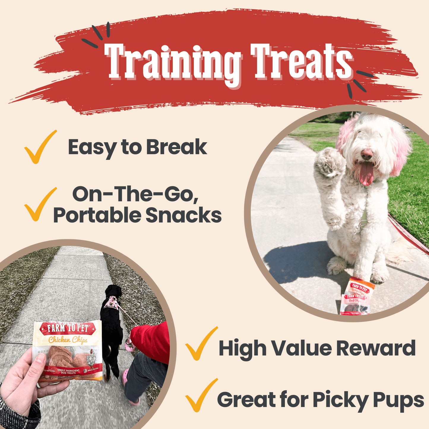 Dog training treats with a dog on a leash and a person holding treats, labeled 'Training Treats'.