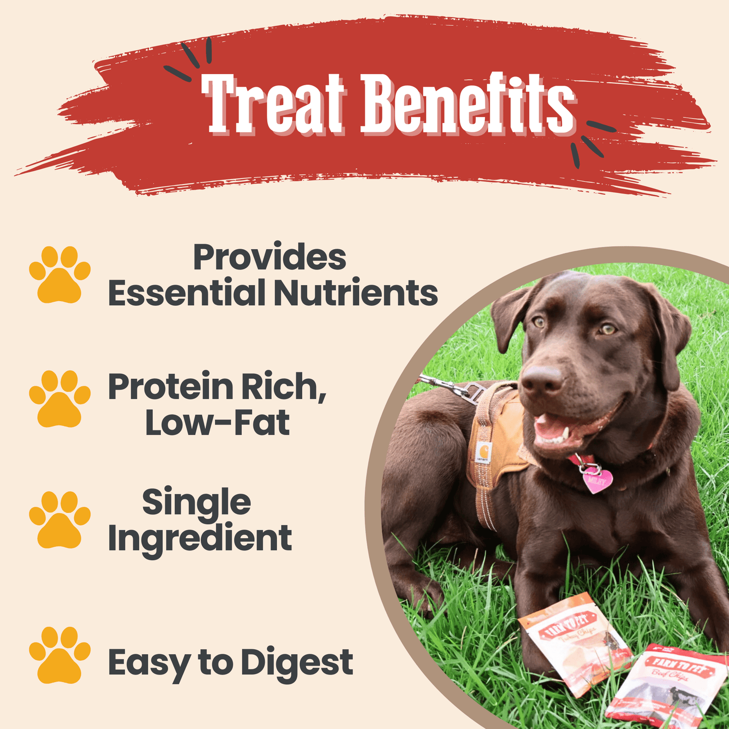 Dog sitting on grass with treats and text about treat benefits on a beige background